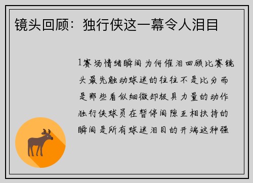 镜头回顾：独行侠这一幕令人泪目